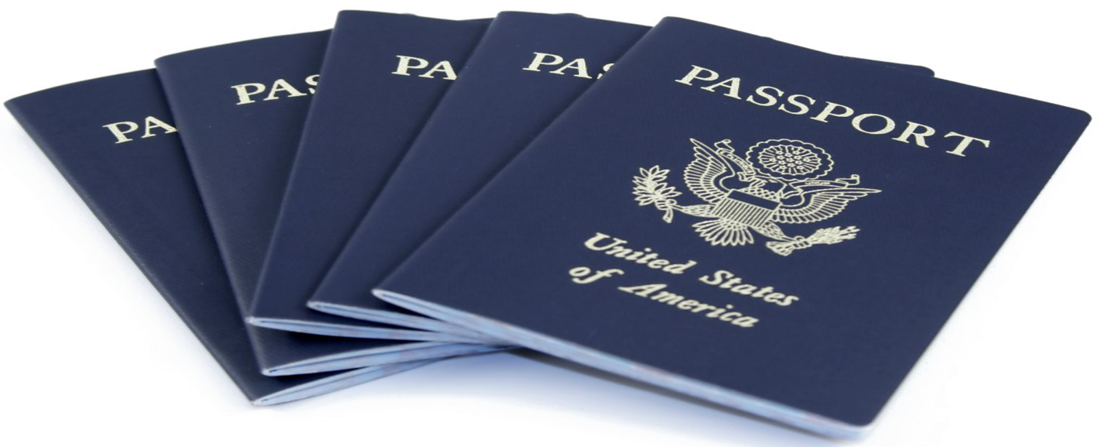 Passport Photo